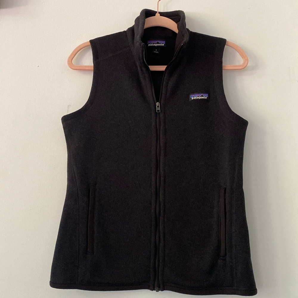 Patagonia Better Sweater Fleece Vest